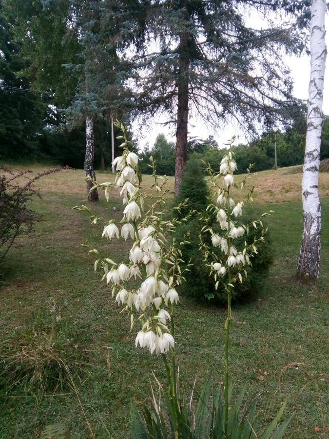 Takovo - Odmor U Selu Villa Gornji Milanovac Buitenkant foto