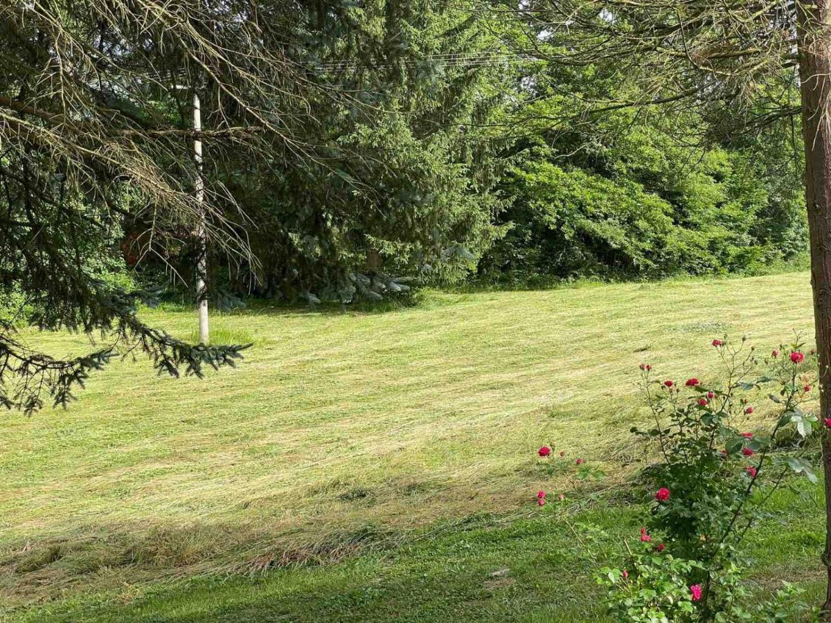 Takovo - Odmor U Selu Villa Gornji Milanovac Buitenkant foto