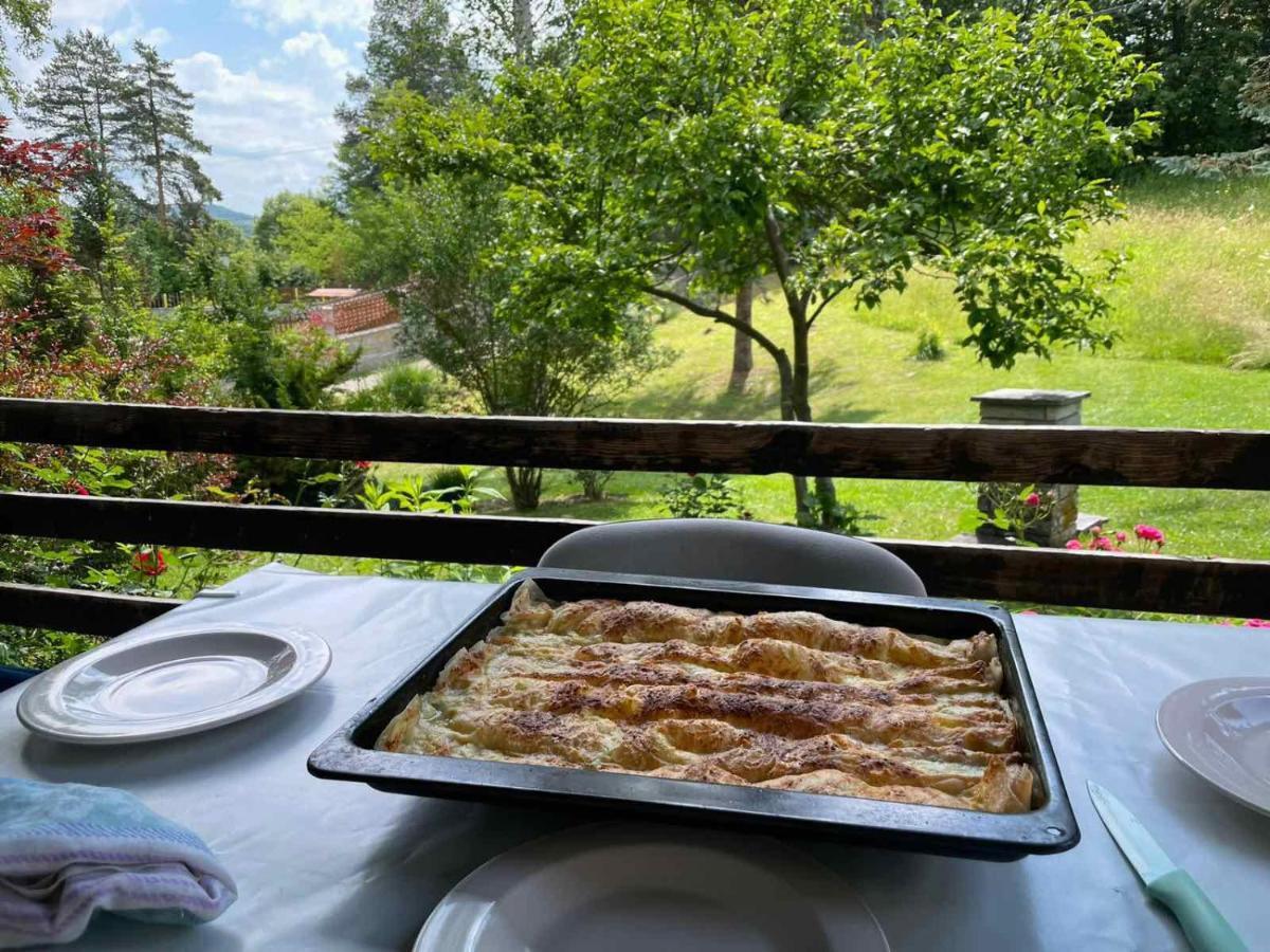 Takovo - Odmor U Selu Villa Gornji Milanovac Buitenkant foto