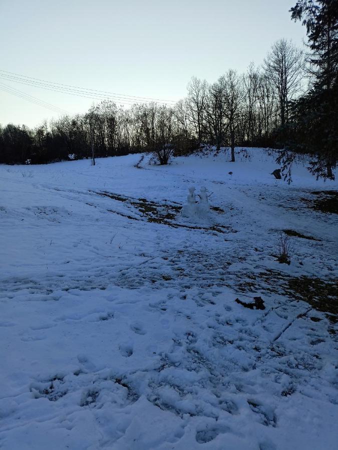 Takovo - Odmor U Selu Villa Gornji Milanovac Buitenkant foto