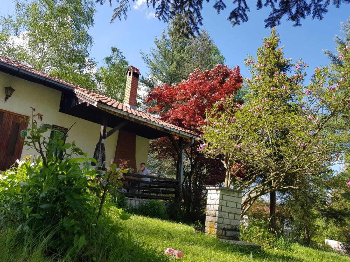 Takovo - Odmor U Selu Villa Gornji Milanovac Buitenkant foto
