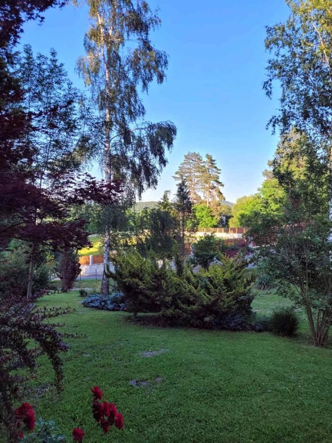 Takovo - Odmor U Selu Villa Gornji Milanovac Buitenkant foto