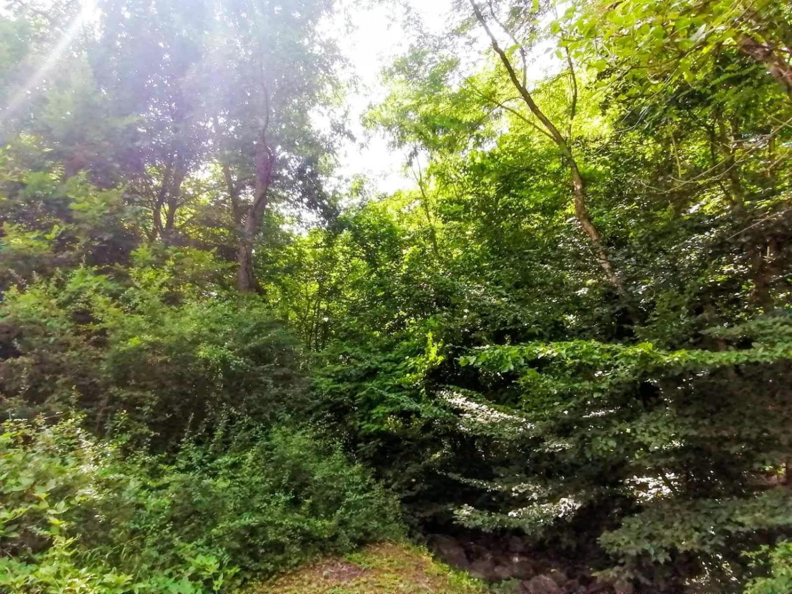 Takovo - Odmor U Selu Villa Gornji Milanovac Buitenkant foto