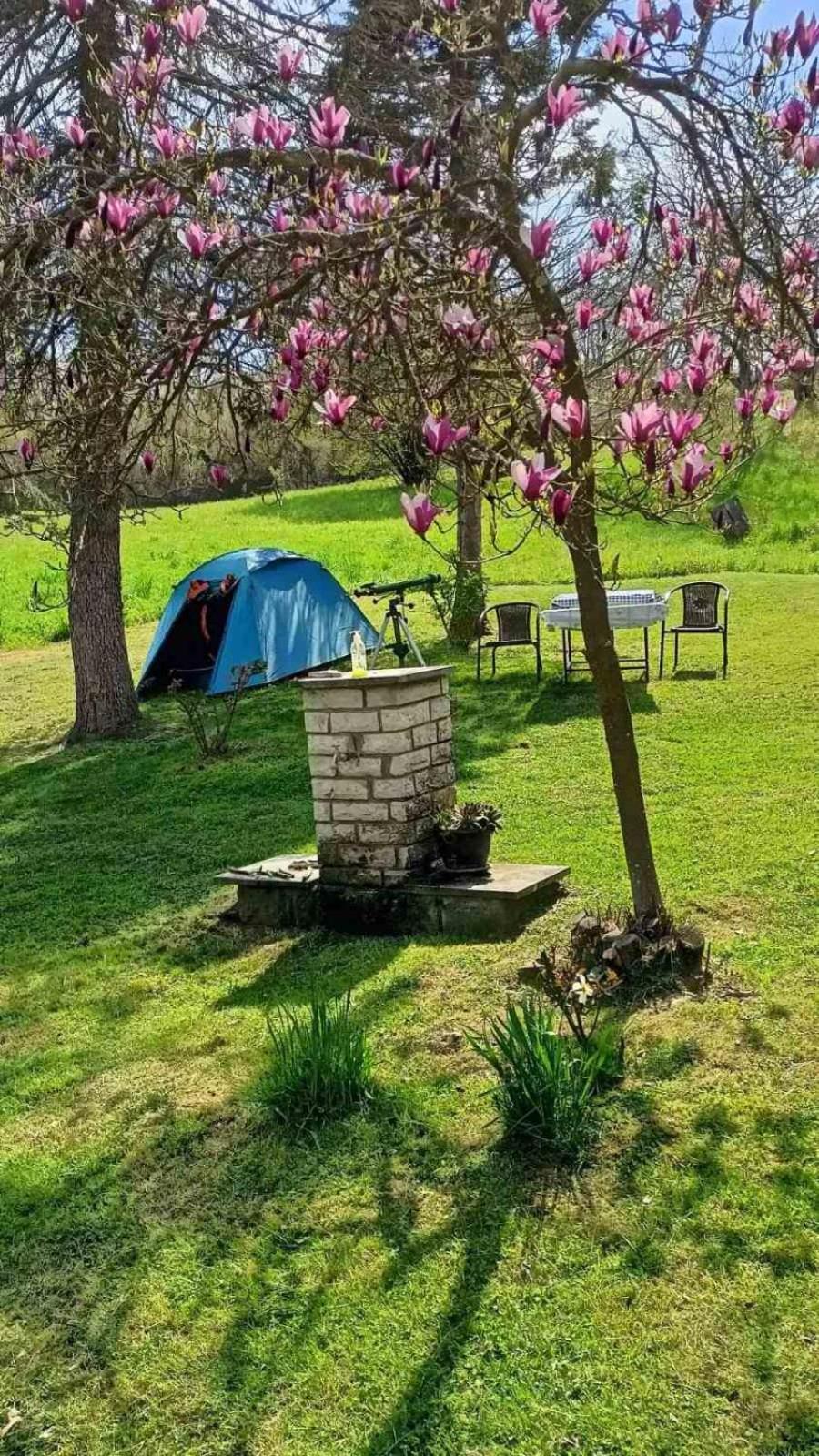 Takovo - Odmor U Selu Villa Gornji Milanovac Buitenkant foto