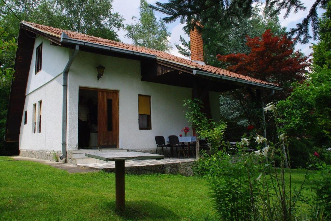 Takovo - Odmor U Selu Villa Gornji Milanovac Buitenkant foto